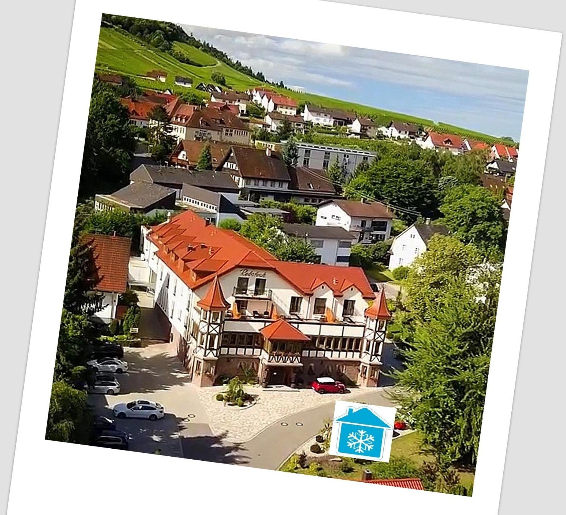 Rebstock Baden-Baden